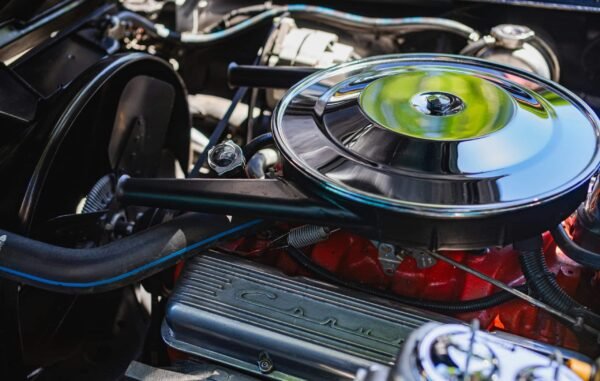 pexels-robertkso-24182219